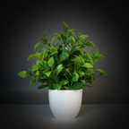 Plante Artificielle en Pot Décorative – Décoration de Bureau et d’Étagère