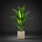 Plante Tropicale Artificielle Grand Format – Décoration Élégante et Naturelle